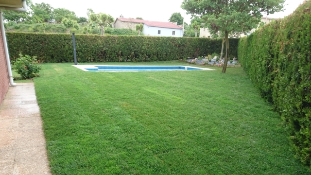 El jardin del Mirlo