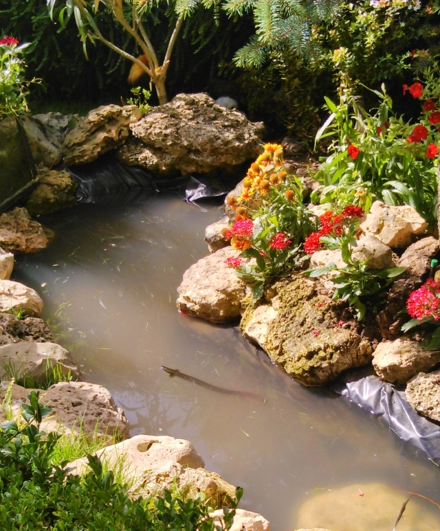 El jardin del Mirlo