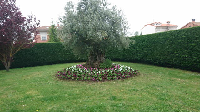 El jardin del Mirlo